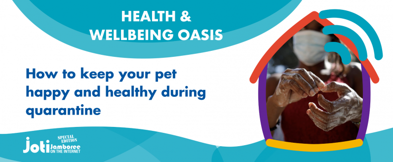 How to keep your pet happy and healthy during quarantine
