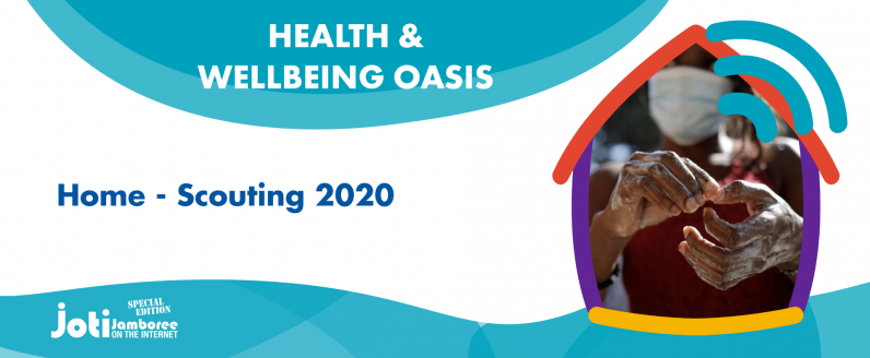 Home - Scouting 2020