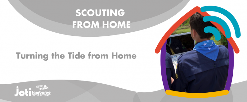 Turning the Tide from Home