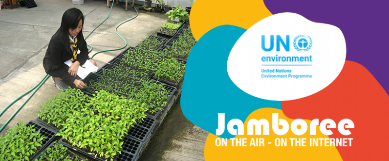 What is UN Environment?