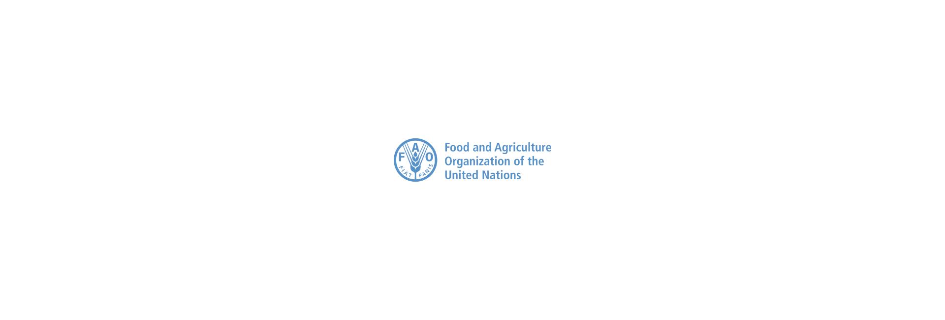 FAO logo