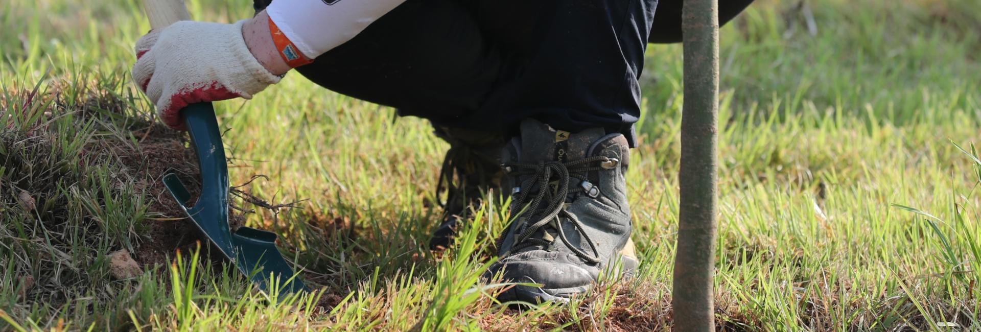 Jamboree Forest: Representatives from each contigent planted trees in Saemangeum.