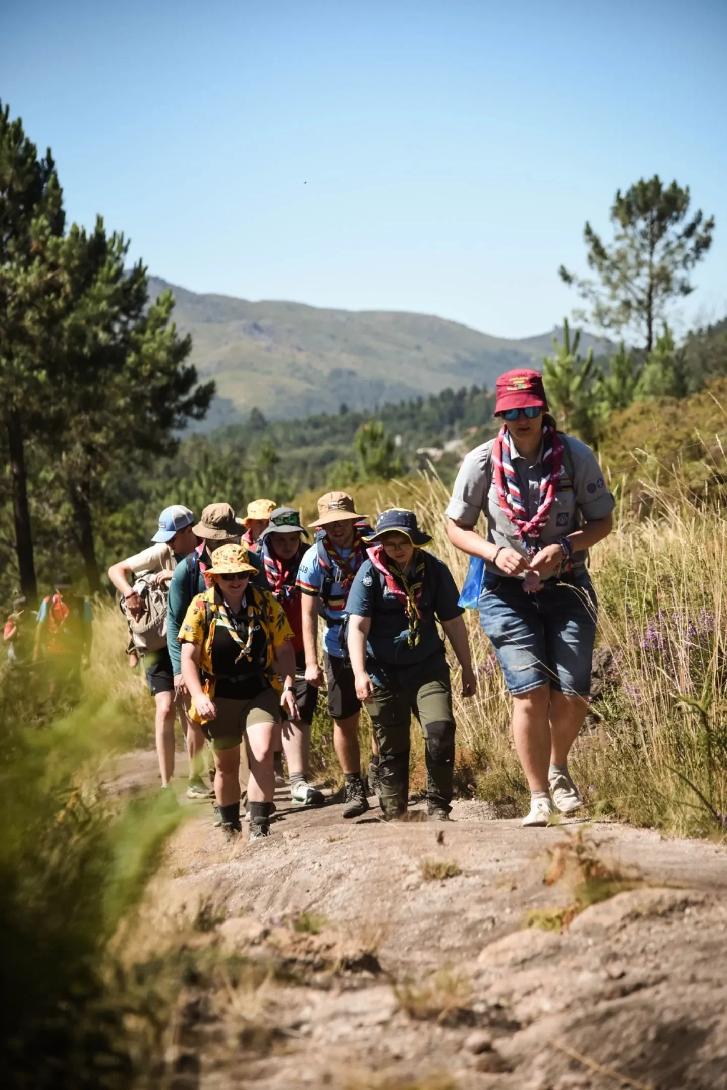 Scouts on a hike