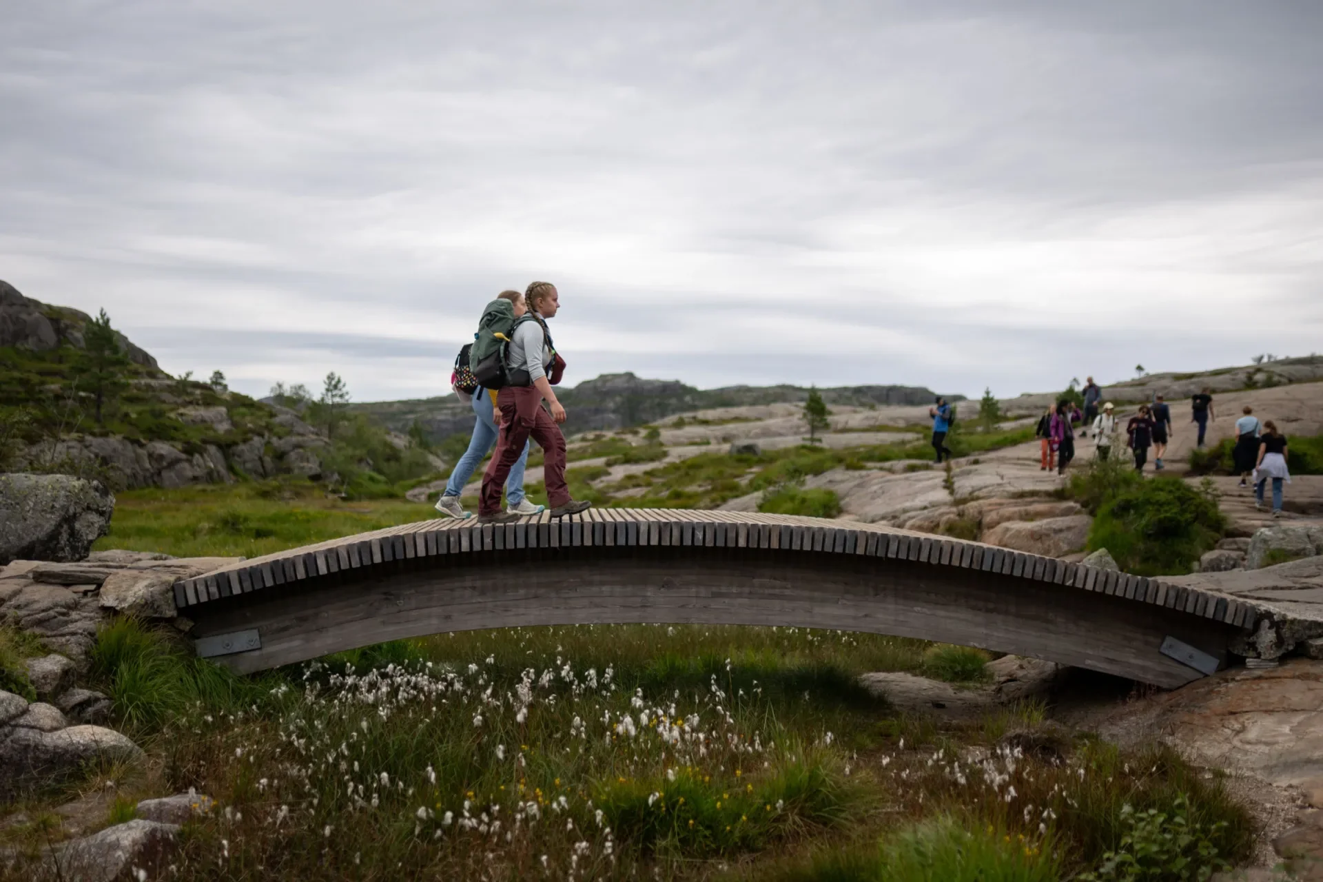 Scout crossing a bridge